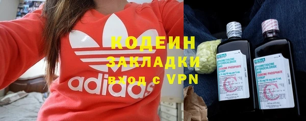 тгк Гусев