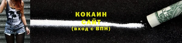 прущий лед Дмитриев