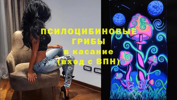 прущий лед Дмитриев