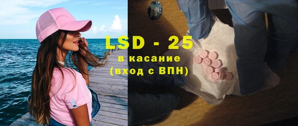 прущий лед Дмитриев